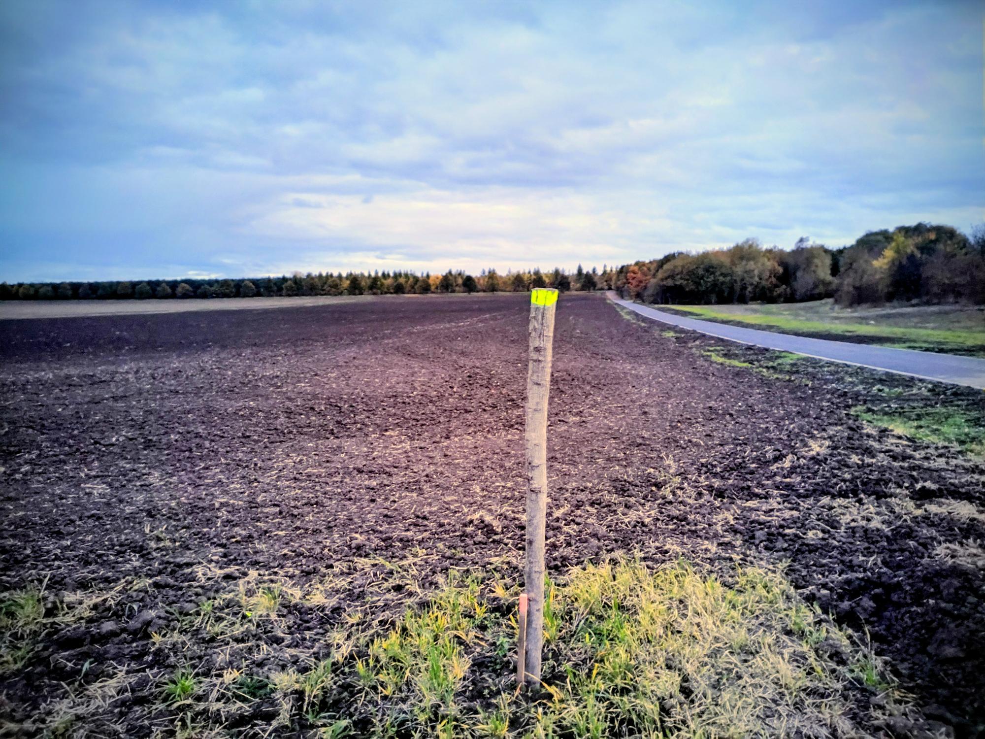 Ilustrační obrázek, text v článku