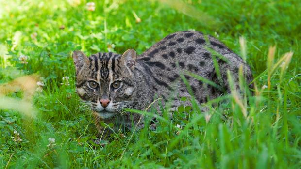 Ilustrační obrázek, text v článku