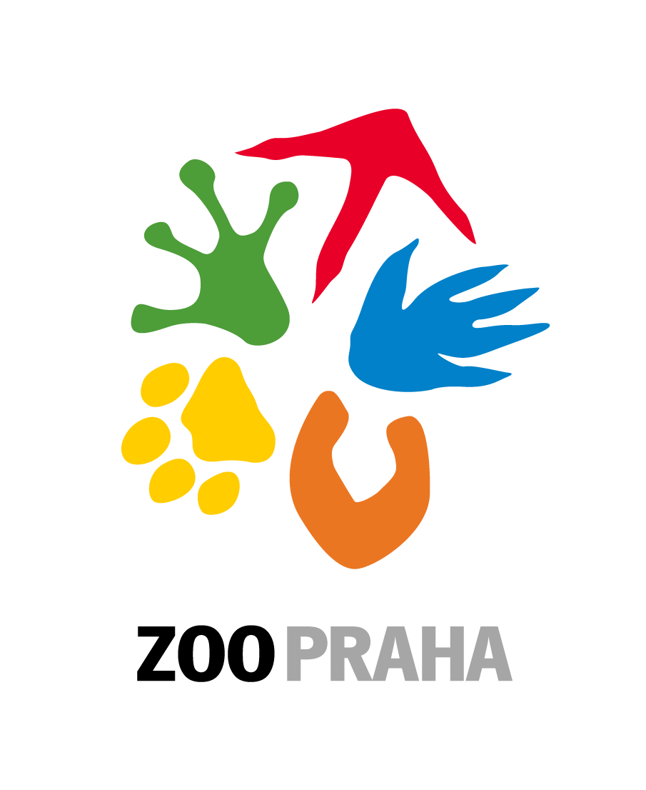 Ilustrační obrázek, text v článku