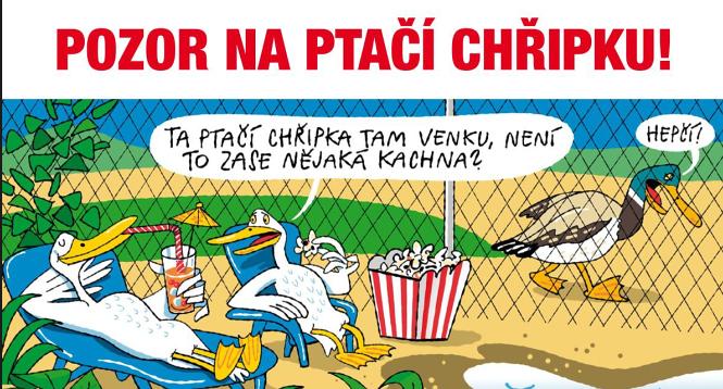 Ilustrační obrázek, text v článku